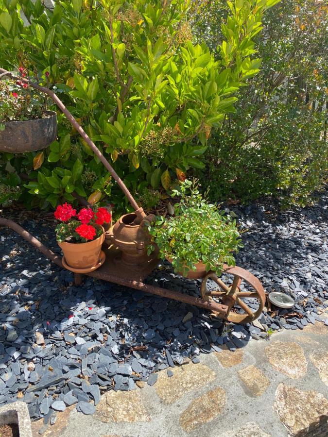 Celine Et Olivier Bed & Breakfast Pornic Dış mekan fotoğraf