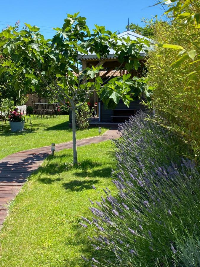 Celine Et Olivier Bed & Breakfast Pornic Dış mekan fotoğraf